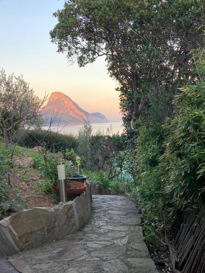 Molarotto Villa Porto Taverna Dış mekan fotoğraf